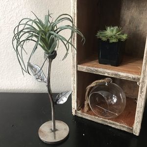 Handcrafted metal air-plant holder